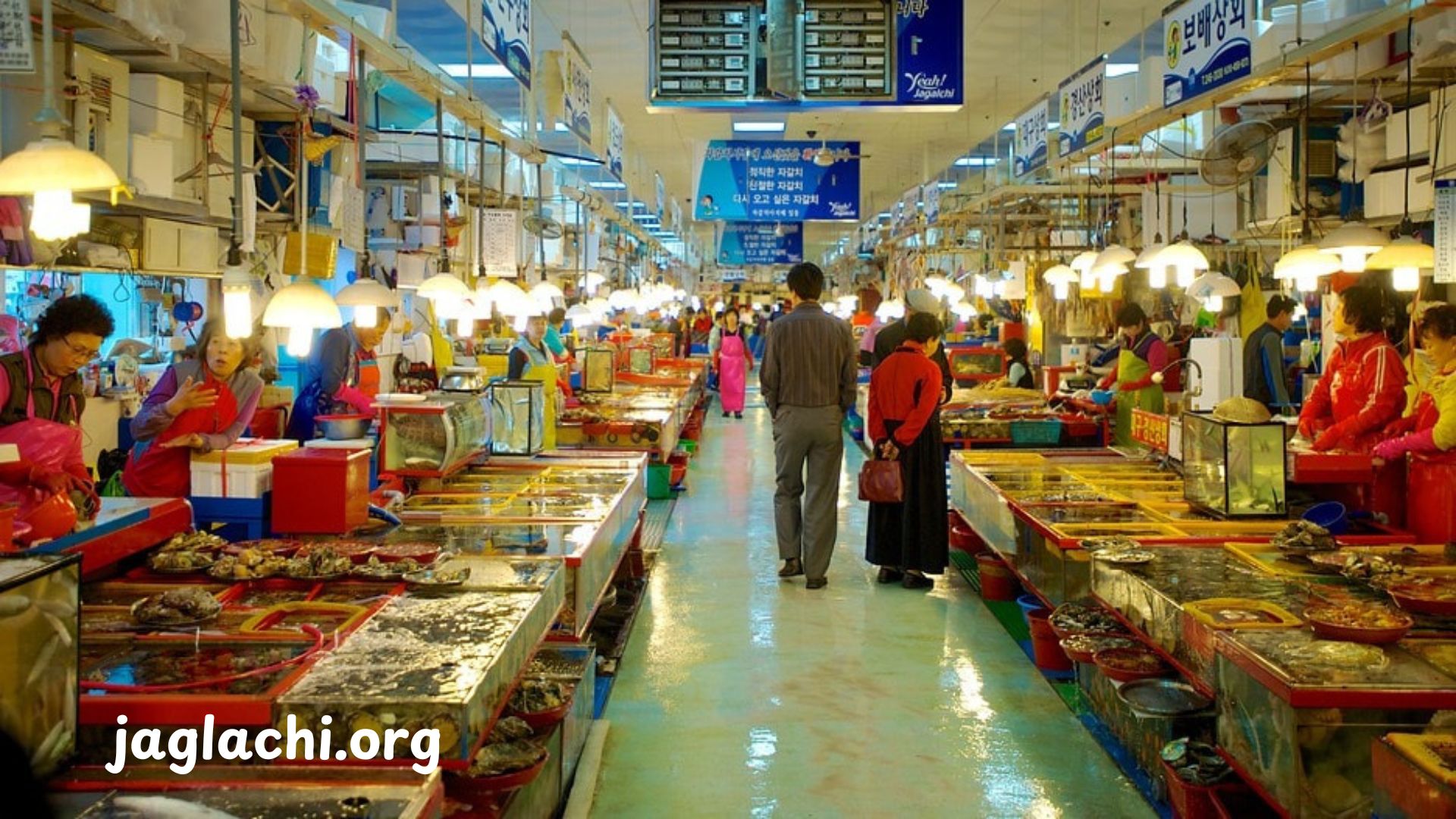 Jagalchi Market: Your Ultimate Guide to Busan's Fishy Heartbeat