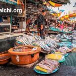 jagalchi market