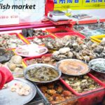 Jagalchi Market Food: A Culinary Journey Through Busan’s Seafood Paradise