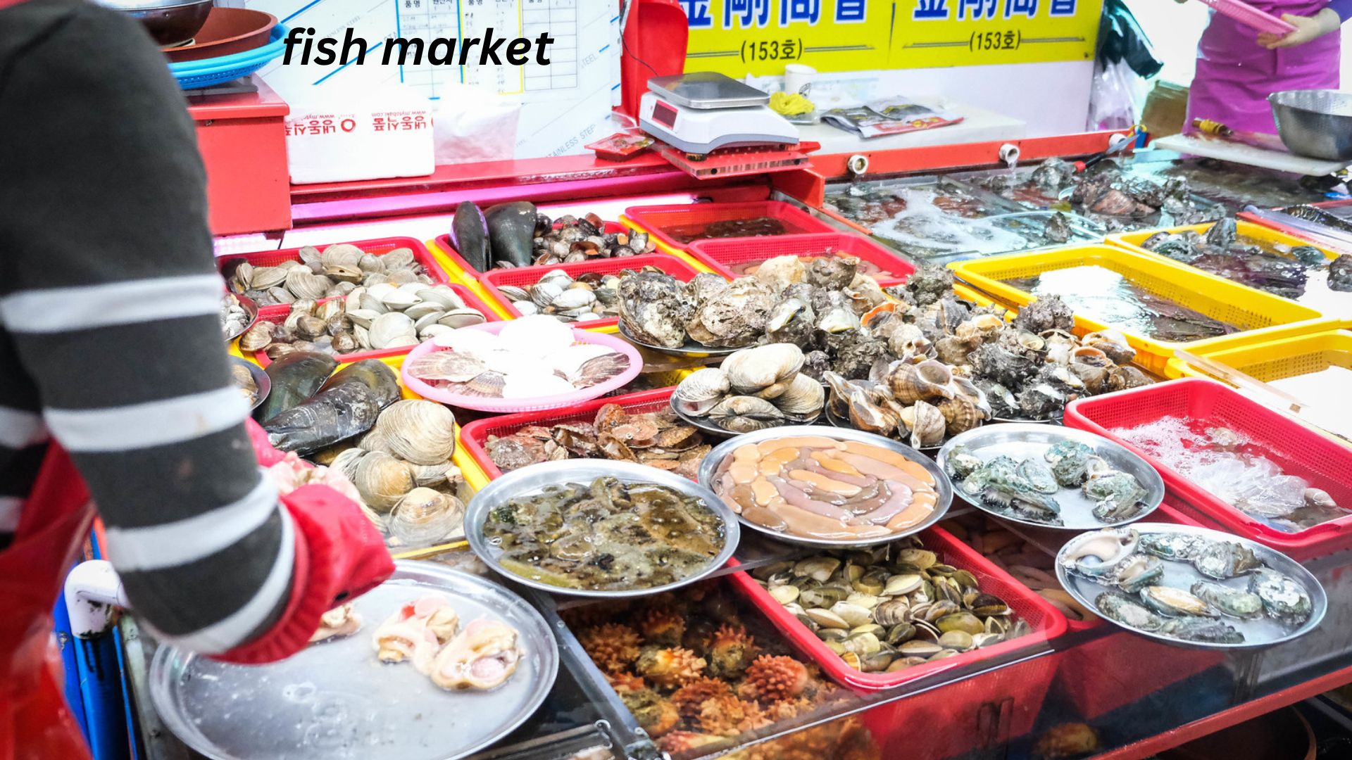 Jagalchi Market Food: A Culinary Journey Through Busan’s Seafood Paradise